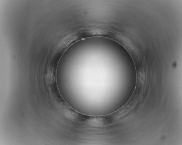 X0000091990422200709131458