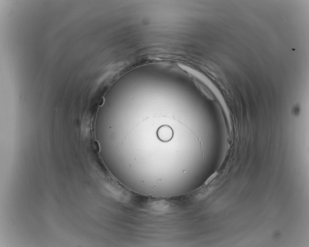 X0000091990423200709131458