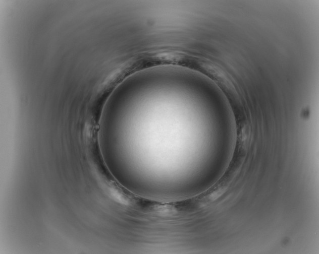X0000091990424200709131458