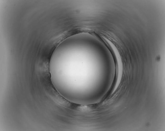 X0000091990425200709131458