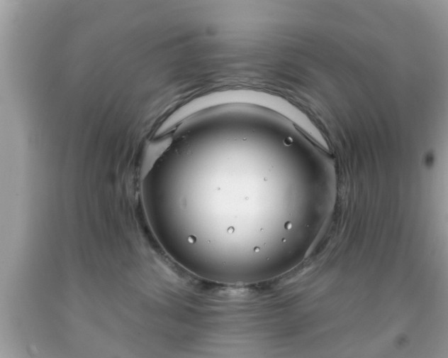 X0000091990428200709131458