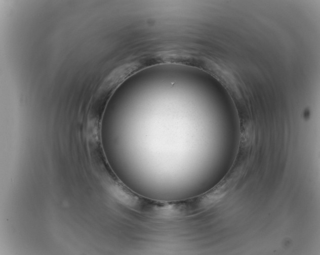 X0000091990430200709131458