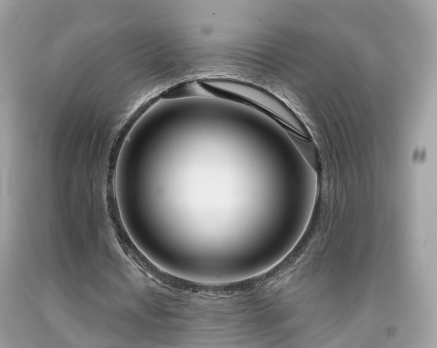 X0000091990434200709131457