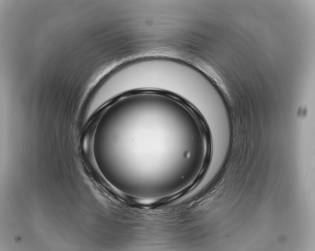 X0000091990436200709131457