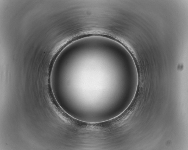 X0000091990437200709131457
