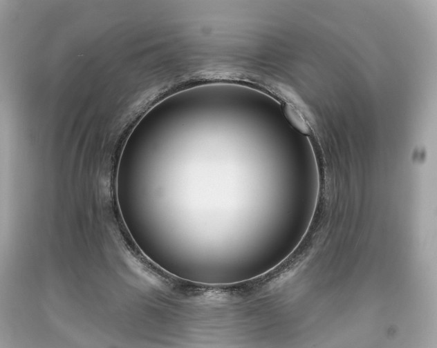 X0000091990441200709131457