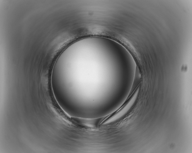 X0000091990442200709131457