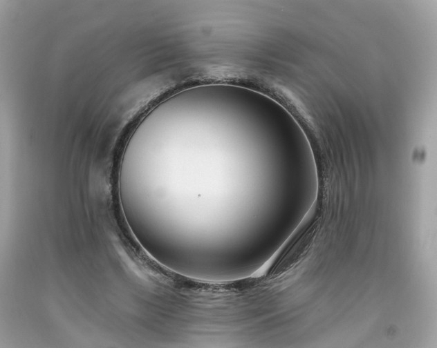 X0000091990443200709131457