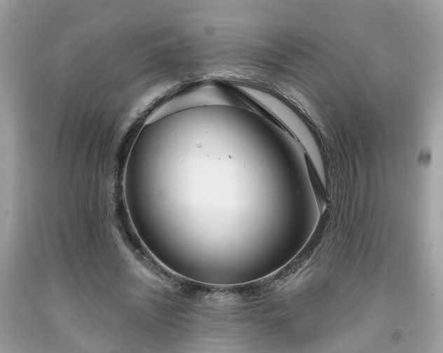 X0000091990444200709131457