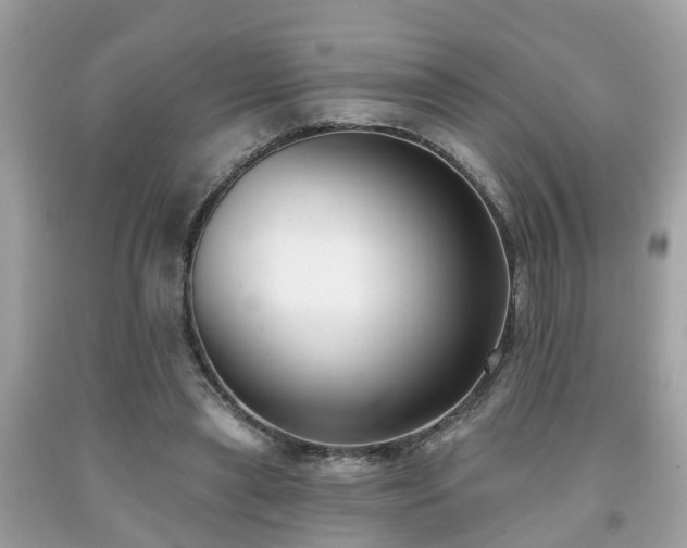 X0000091990445200709131457