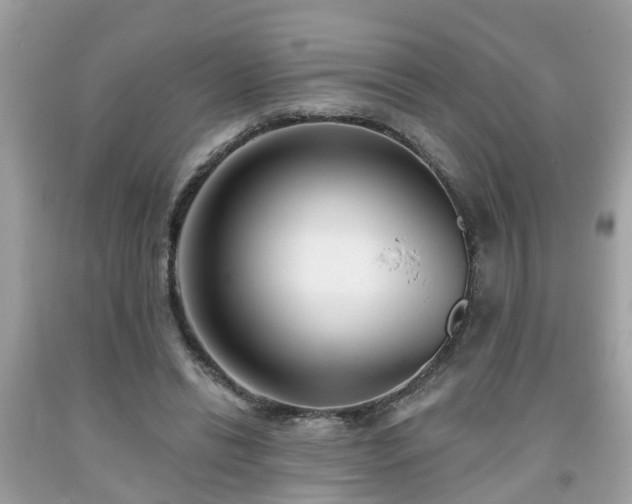 X0000091990446200709131457