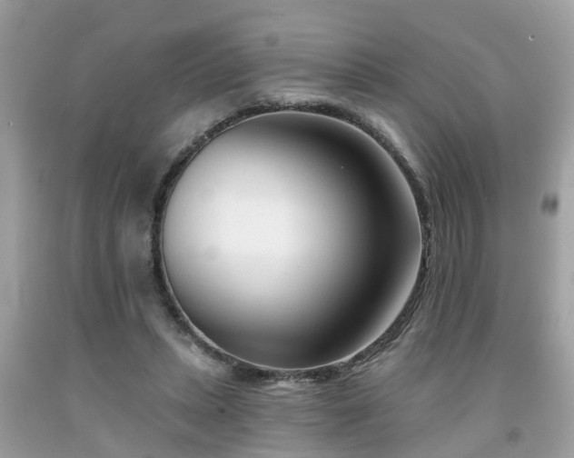 X0000091990447200709131457