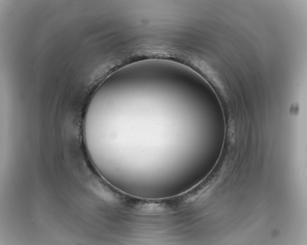 X0000091990449200709131457