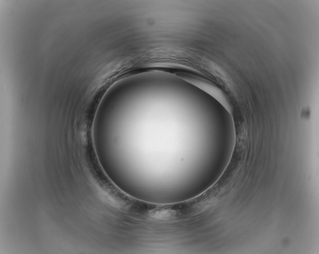 X0000091990452200709131457