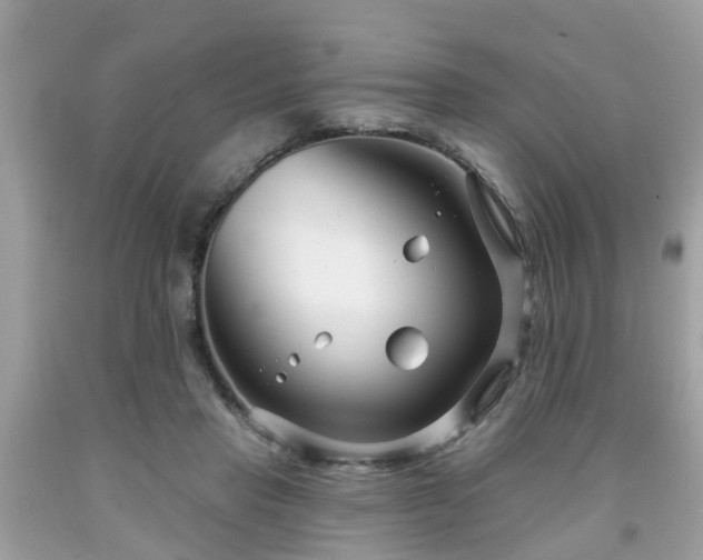 X0000091990453200709131457