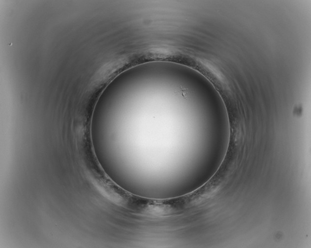 X0000091990455200709131457