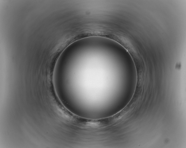 X0000091990457200709131457
