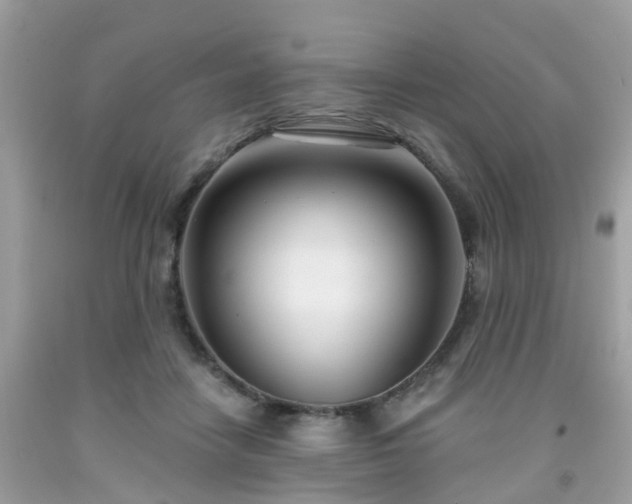X0000091990458200709131457