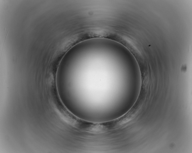 X0000091990459200709131457