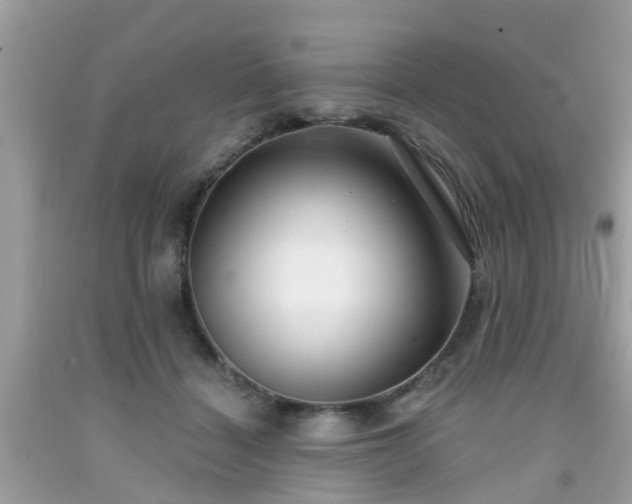 X0000091990460200709131457