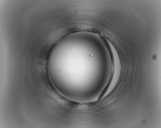 X0000091990462200709131457