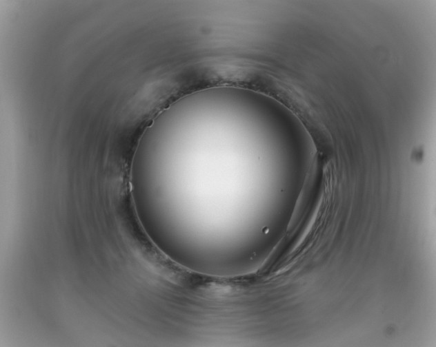 X0000091990464200709131457