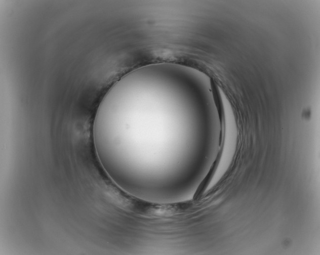 X0000091990466200709131457