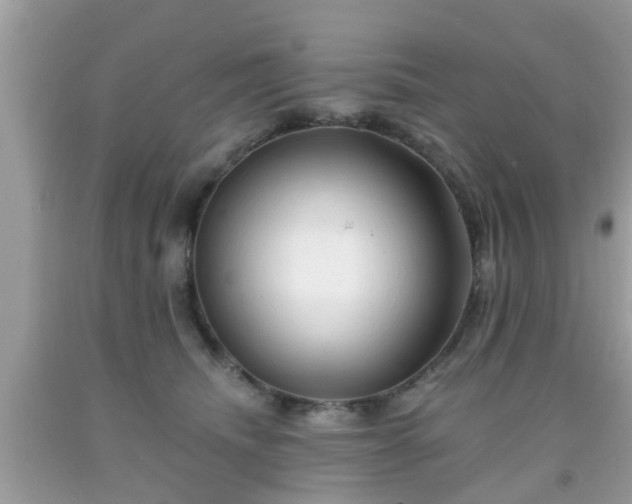 X0000091990468200709131457