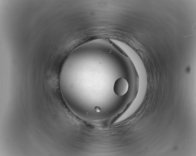X0000091990469200709131457