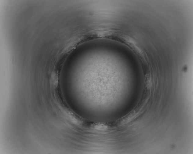 X0000091990471200709131457