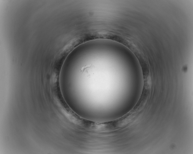 X0000091990472200709131457