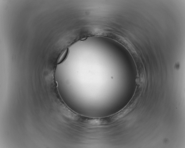 X0000091990473200709131458