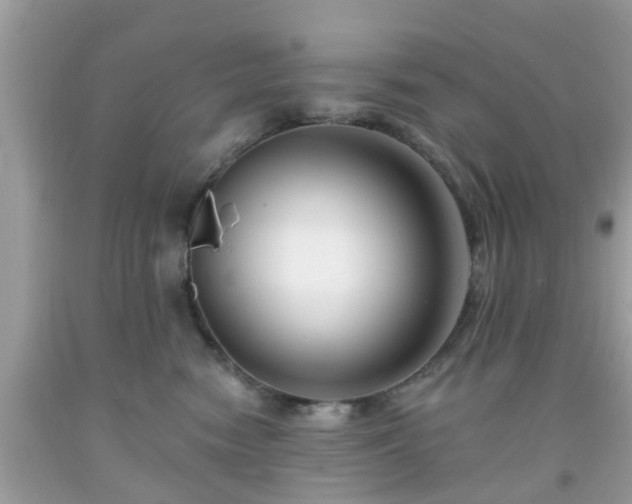 X0000091990474200709131458
