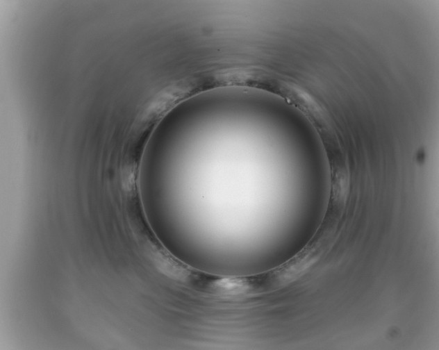X0000091990477200709131458