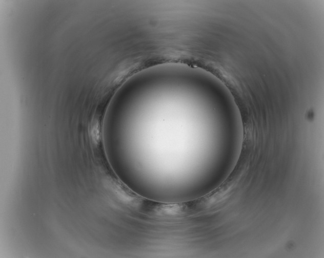 X0000091990479200709131458