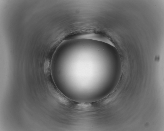 X0000091990480200709131458