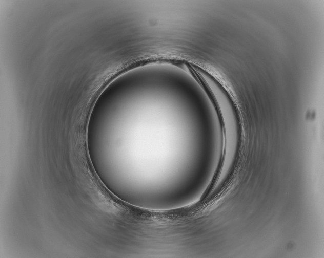 X0000091990481200709131457
