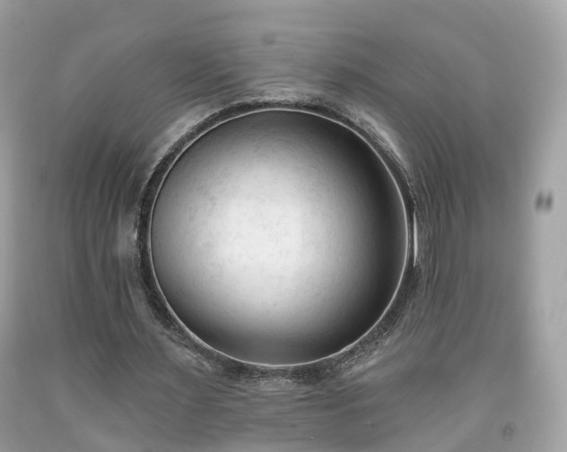 X0000091990483200709131457