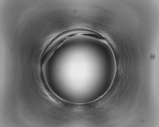 X0000091990485200709131457