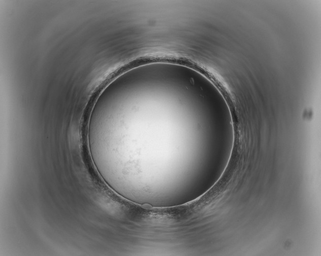 X0000091990487200709131457