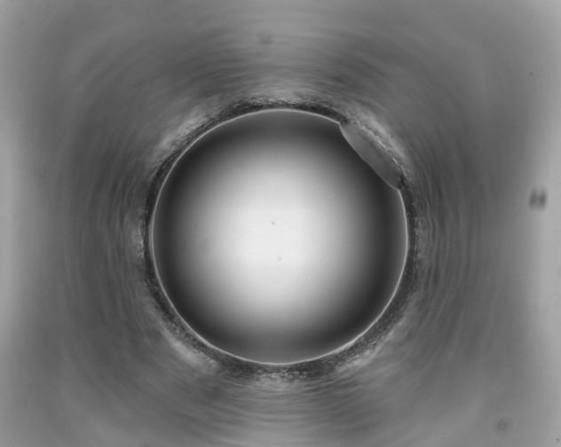 X0000091990489200709131457
