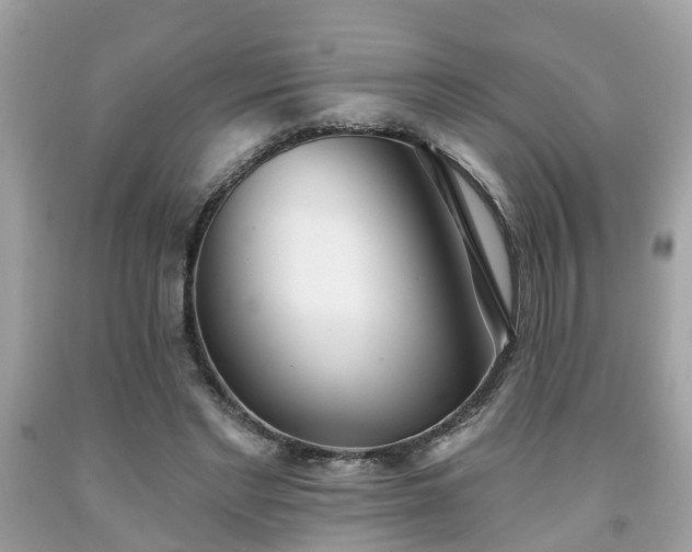 X0000091990493200709131457