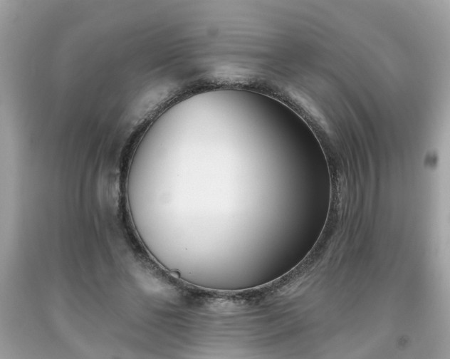 X0000091990494200709131457