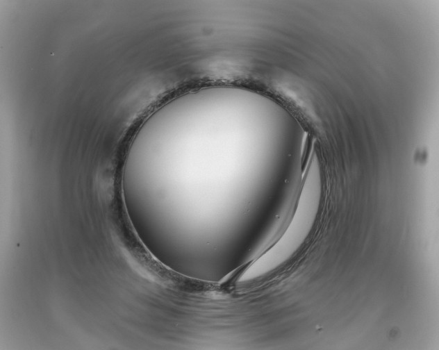 X0000091990496200709131457