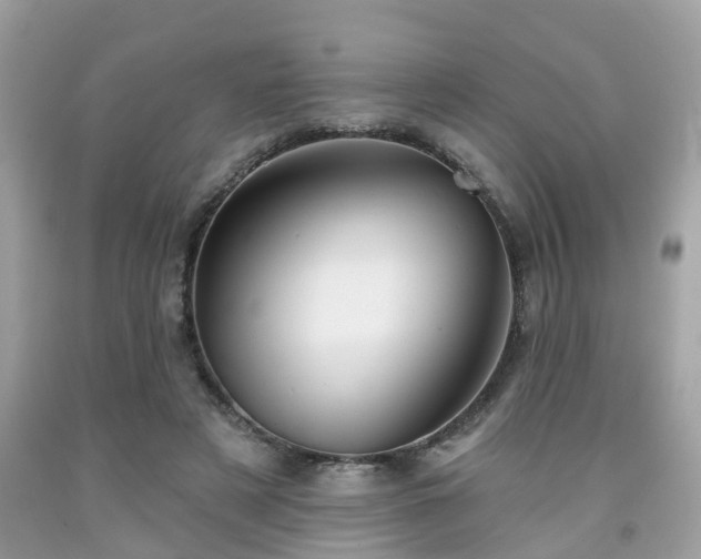 X0000091990497200709131457