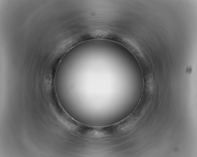 X0000091990498200709131457