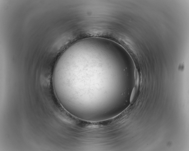 X0000091990499200709131457