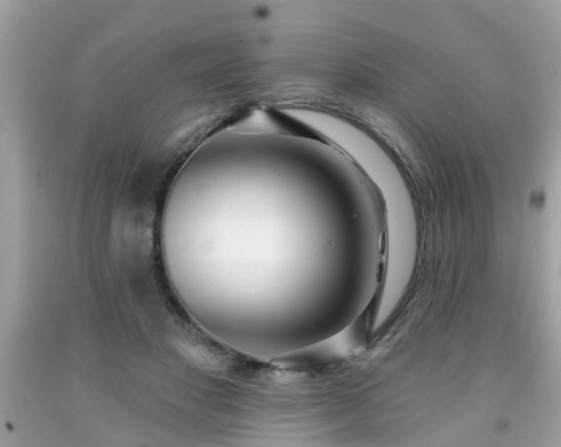 X0000091990501200709131457