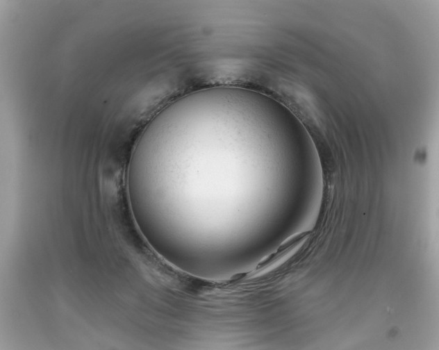 X0000091990503200709131457