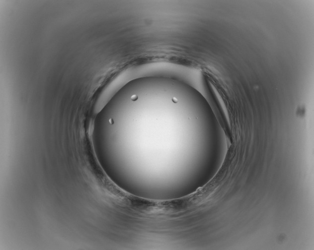 X0000091990504200709131457